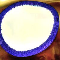 IMG-20220926-WA0014 IMG-20220926-WA0014